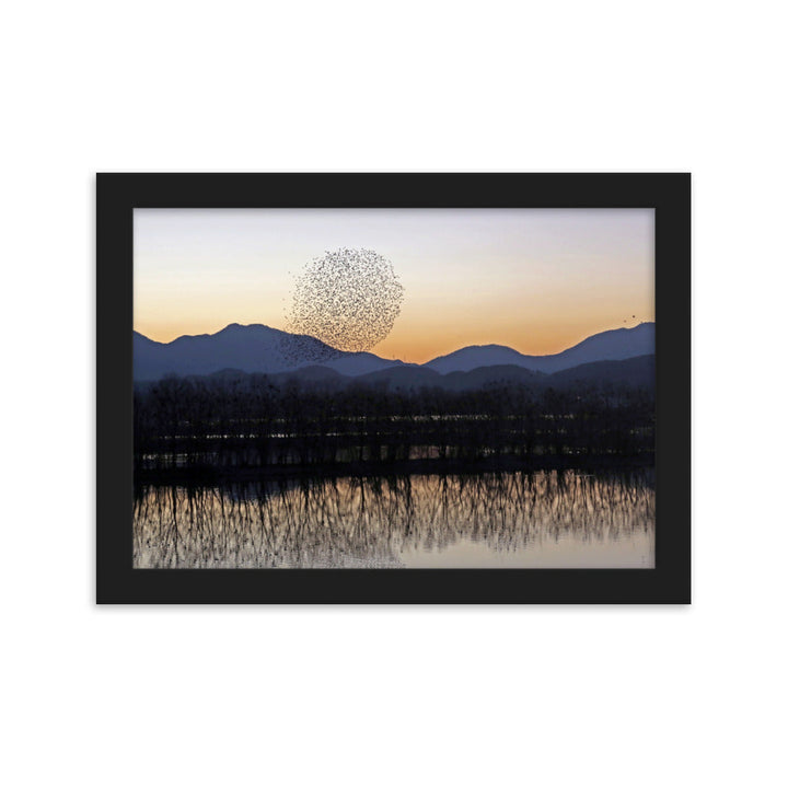 Sonnenuntergang im Junam-Wasserreservoir - Poster im Rahmen Young Han Song Schwarz / 21×30 cm artlia