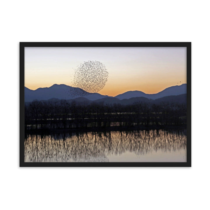 Sonnenuntergang im Junam-Wasserreservoir - Poster im Rahmen Young Han Song Schwarz / 50×70 cm artlia