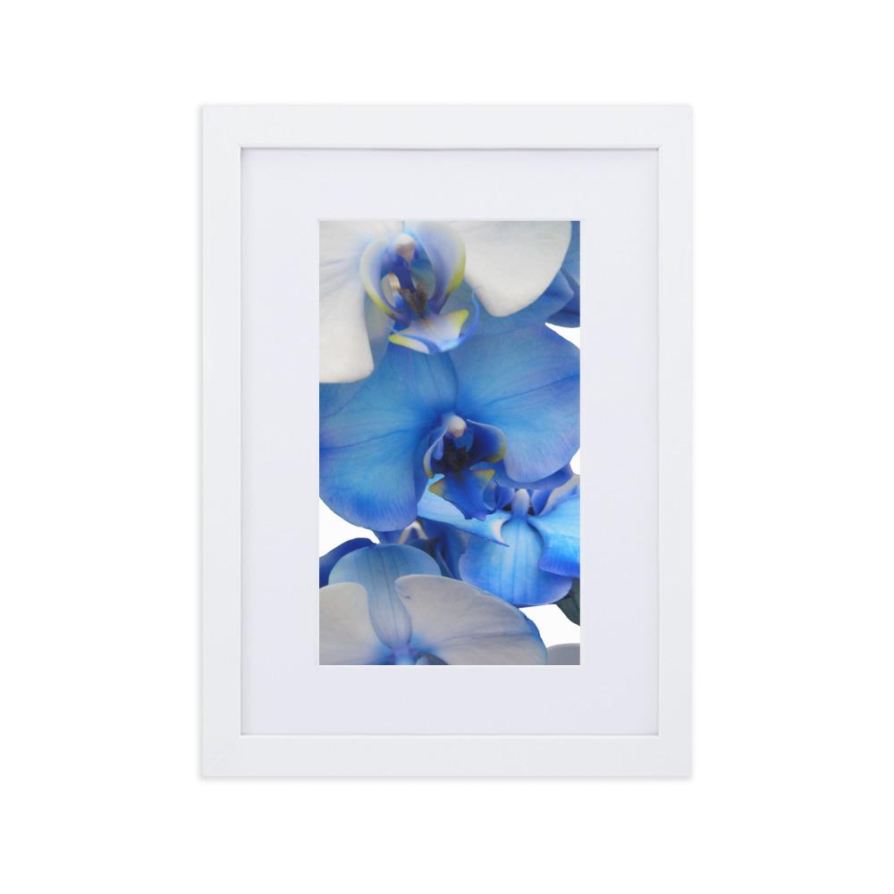 Blue Orchid - Poster im Rahmen mit Passepartout Kuratoren von artlia Weiß / 21×30 cm artlia