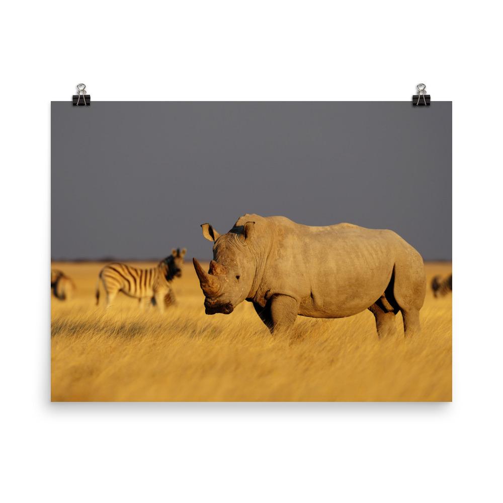 Das Nashorn - Poster Kuratoren von artlia 30x41 cm artlia