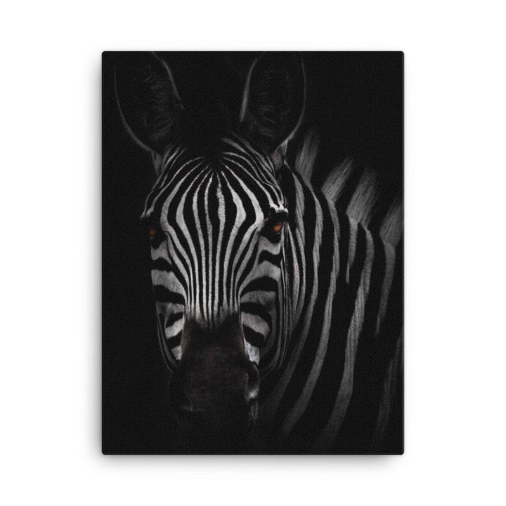 das Starren des Zebras - Leinwand Kuratoren von artlia 30x41 cm artlia