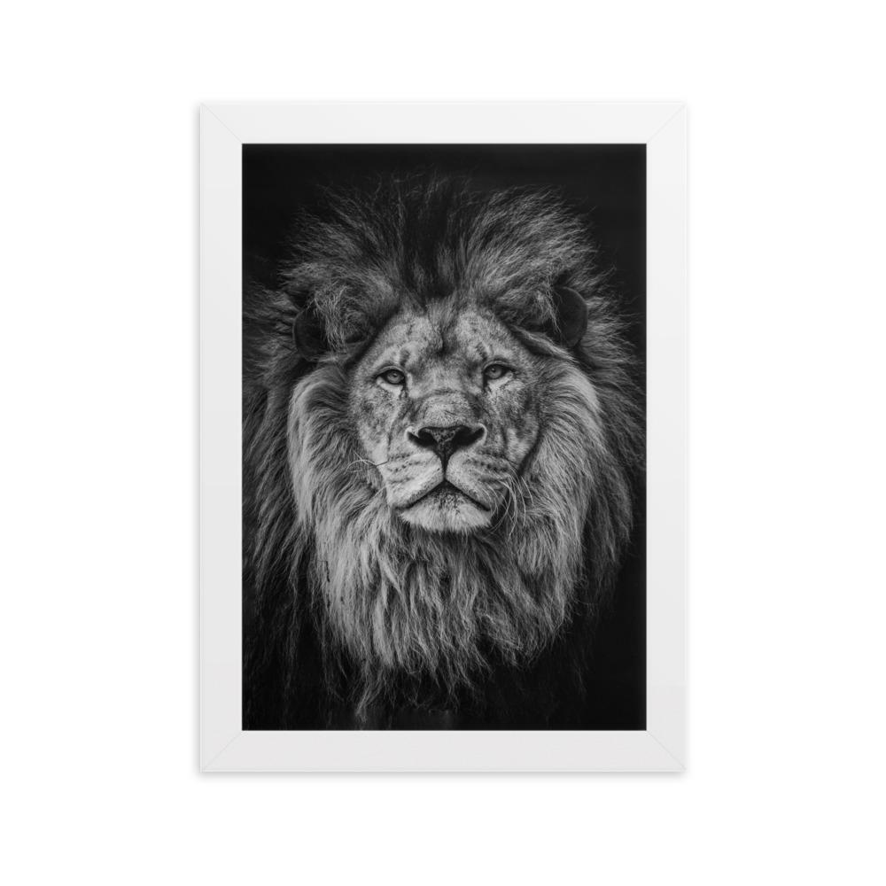 Loewe Lion - Poster im Rahmen artlia Weiß / 21×30 cm artlia