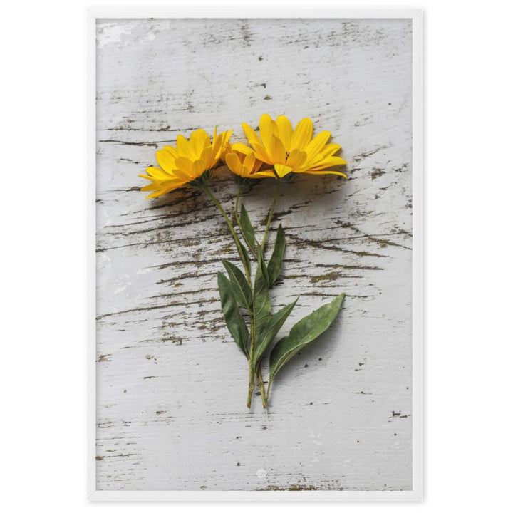 gelbe Blumen Yellow Flowers 6 - Poster im Rahmen artlia Weiß / 61×91 cm artlia