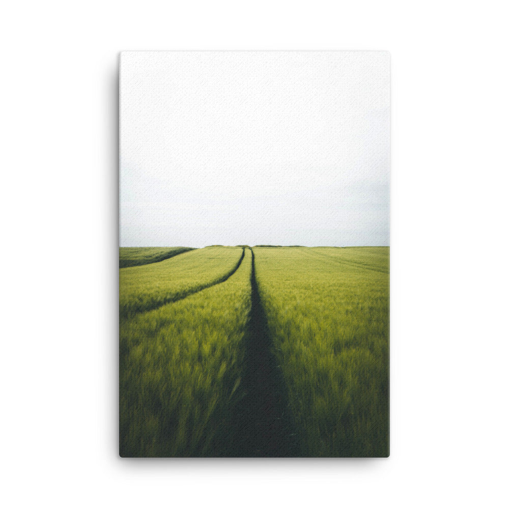 Gerstenfeld barley field - Leinwand Kuratoren von artlia 61x91 cm artlia