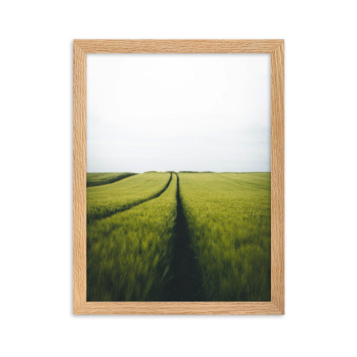 Gerstenfeld barley field - Poster im Rahmen Kuratoren von artlia Oak / 30×40 cm artlia