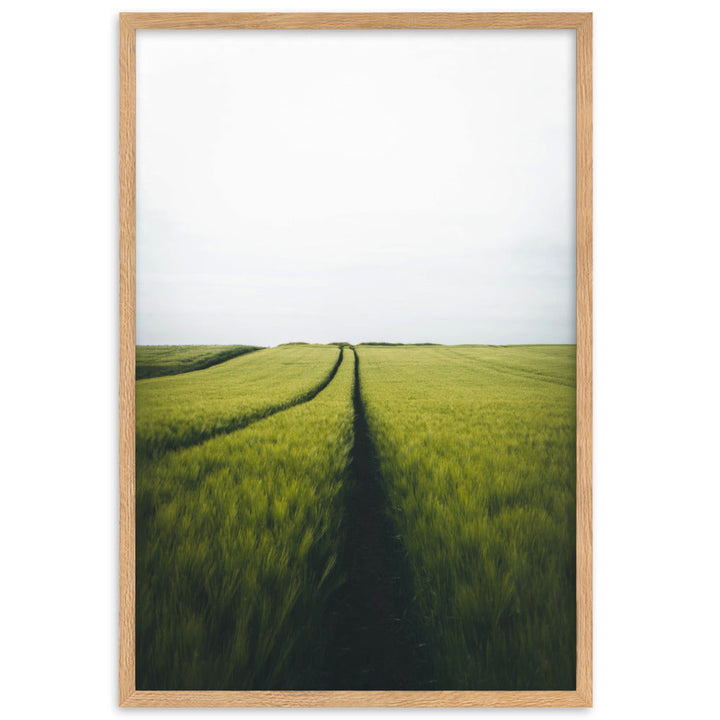 Gerstenfeld barley field - Poster im Rahmen Kuratoren von artlia Oak / 61×91 cm artlia