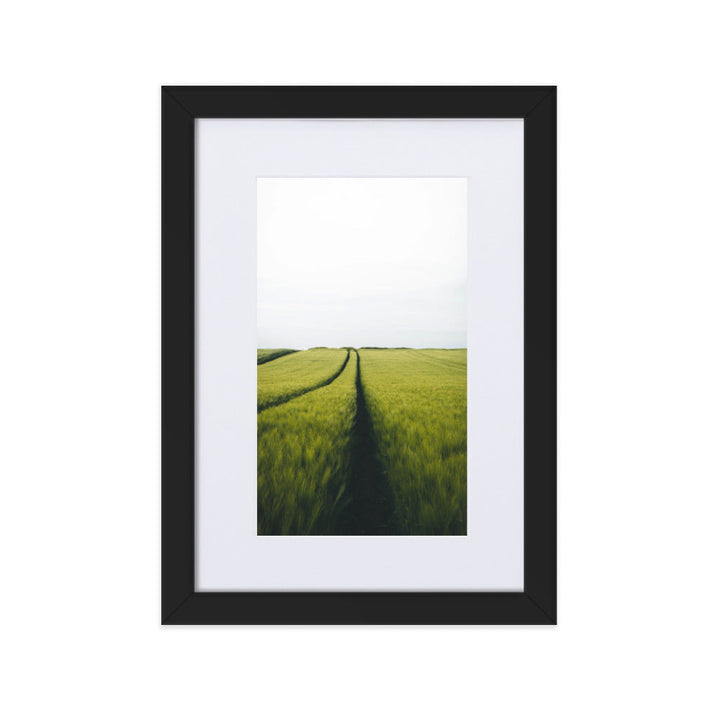 Gerstenfeld barley field - Poster im Rahmen mit Passepartout Kuratoren von artlia Schwarz / 21×30 cm artlia