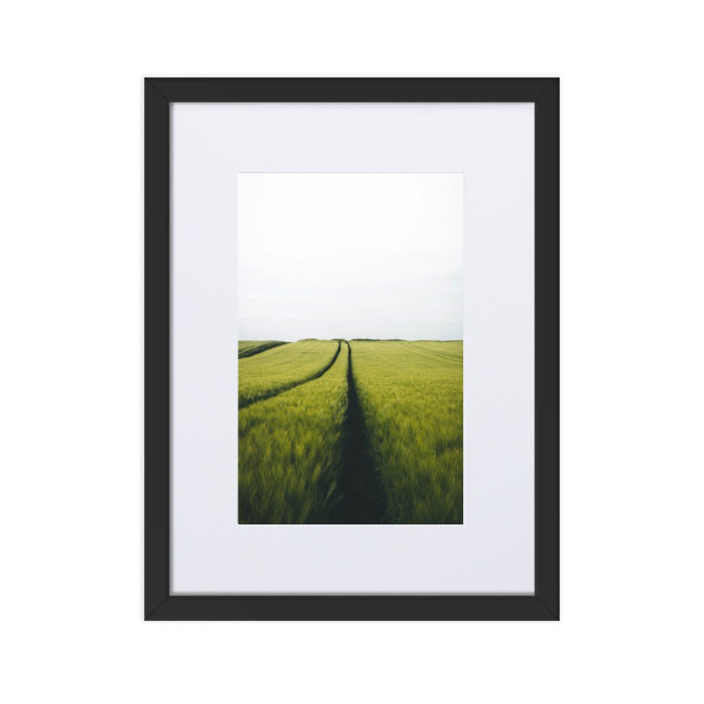 Gerstenfeld barley field - Poster im Rahmen mit Passepartout Kuratoren von artlia Schwarz / 30×40 cm artlia