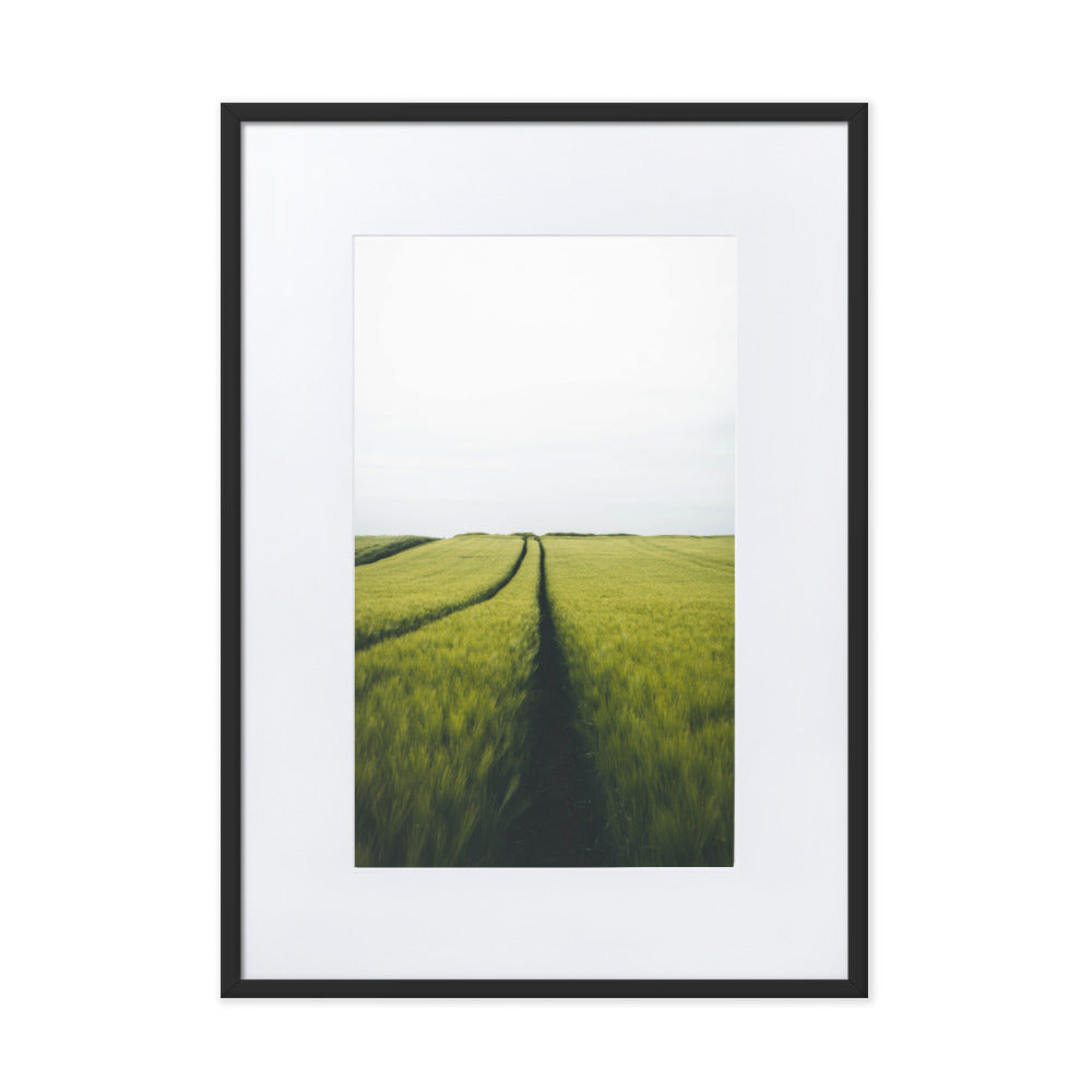 Gerstenfeld barley field - Poster im Rahmen mit Passepartout Kuratoren von artlia Schwarz / 50×70 cm artlia