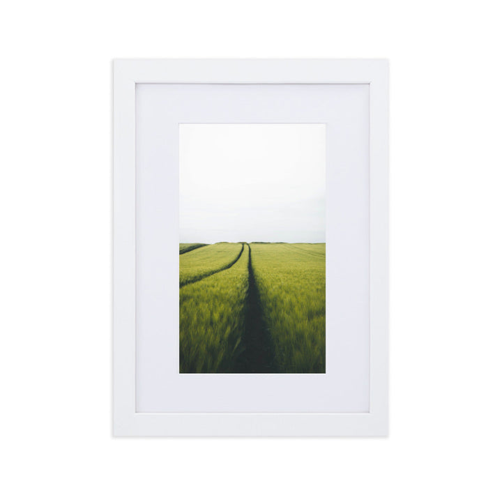 Gerstenfeld barley field - Poster im Rahmen mit Passepartout Kuratoren von artlia Weiß / 21×30 cm artlia