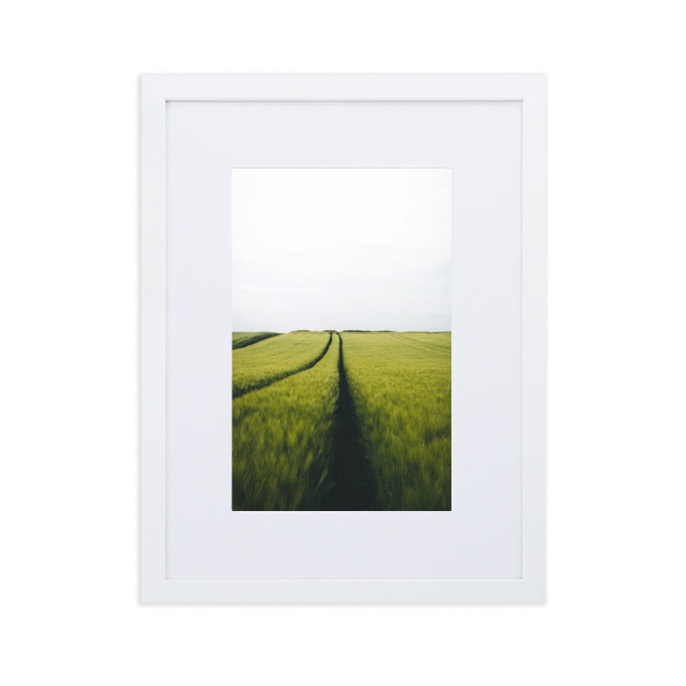 Gerstenfeld barley field - Poster im Rahmen mit Passepartout Kuratoren von artlia Weiß / 30×40 cm artlia