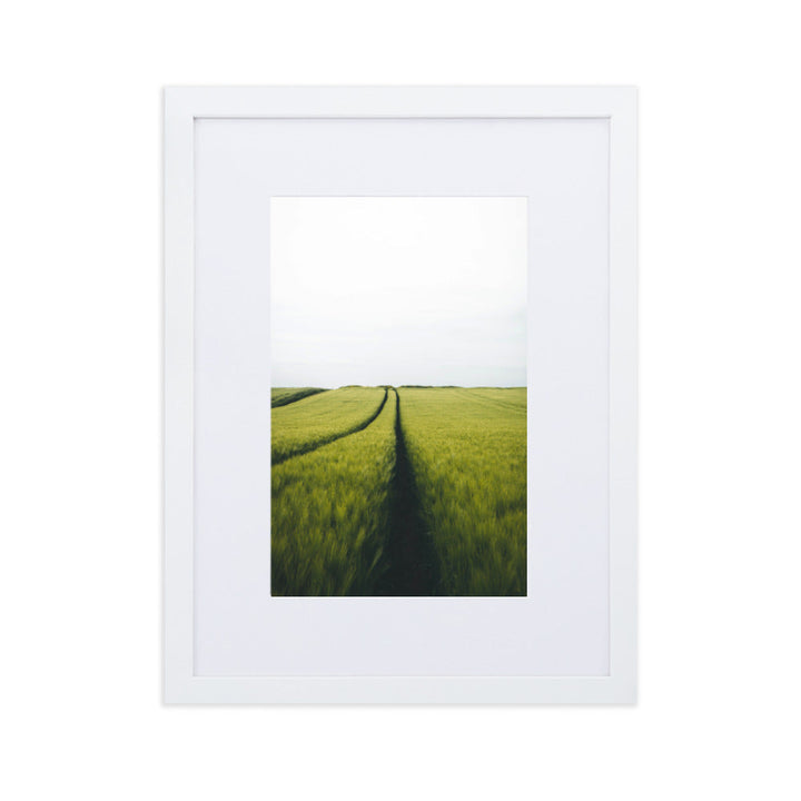 Gerstenfeld barley field - Poster im Rahmen mit Passepartout Kuratoren von artlia Weiß / 30×40 cm artlia