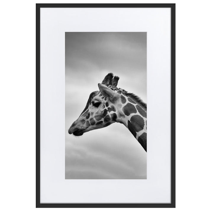 Giraffe - Poster im Rahmen mit Passepartout Kuratoren von artlia Schwarz / 61×91 cm artlia