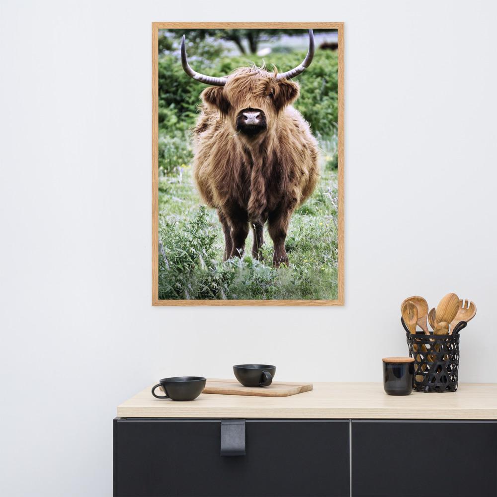 Highland cattle - Poster im Rahmen Kuratoren von artlia artlia