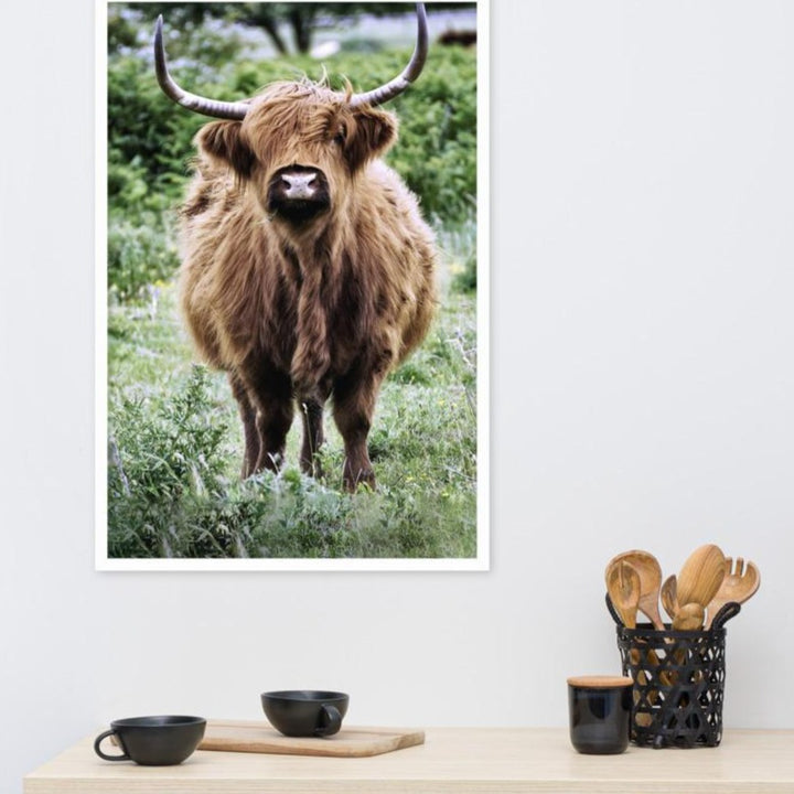 Highland cattle - Poster Kuratoren von artlia artlia