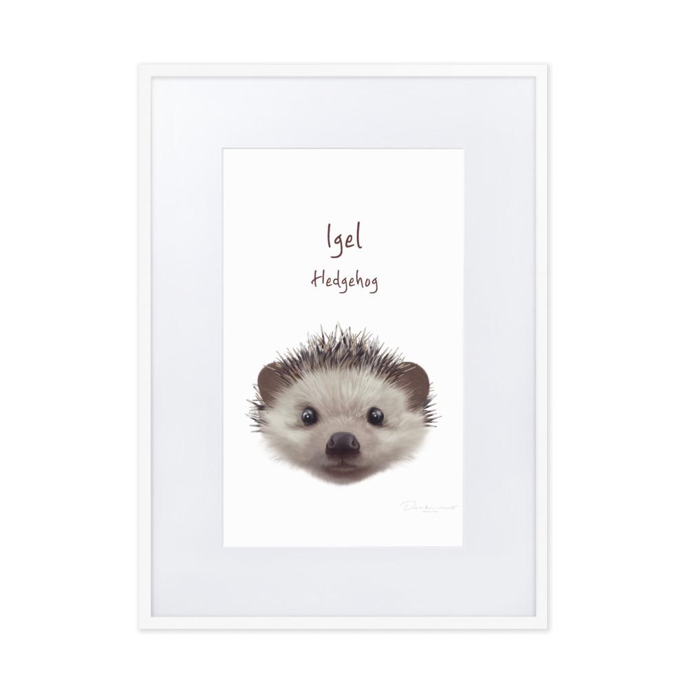 Igel - Poster im Rahmen mit Passepartout dear.bon.vivant weiß / 50×70 cm artlia