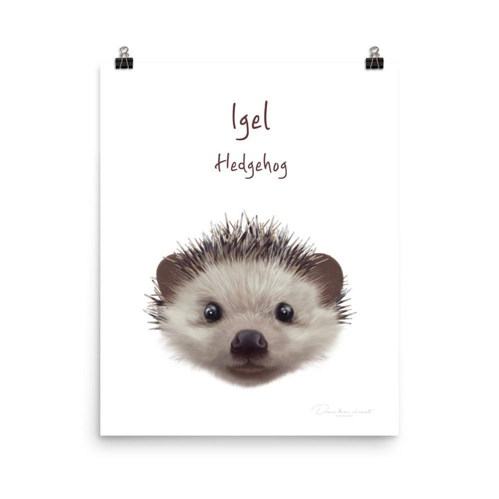 Igel - Tier Poster für Kinder dear.bon.vivant 20x25 cm artlia