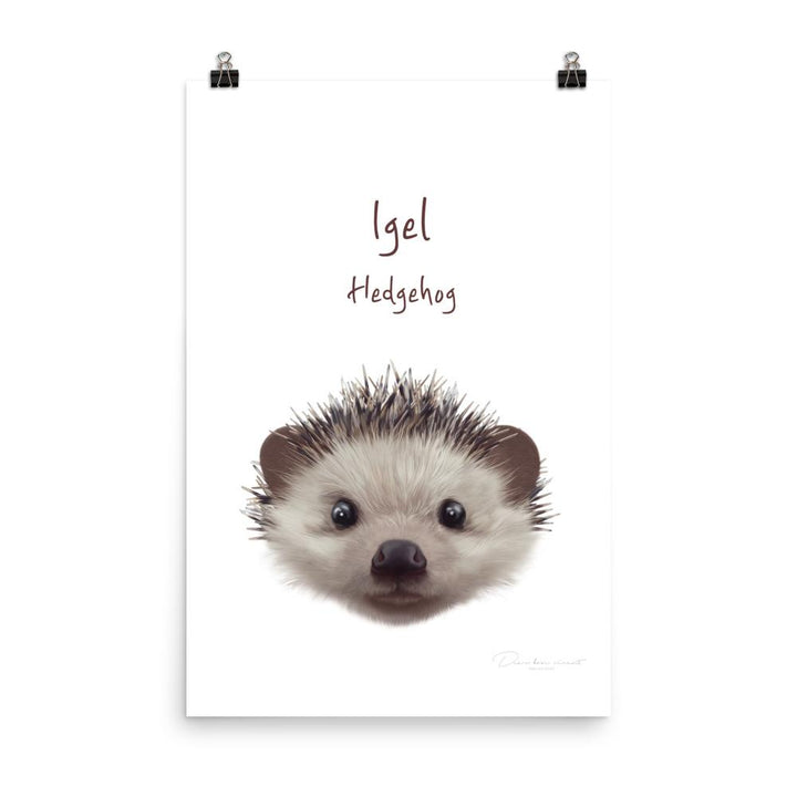 Igel - Tier Poster für Kinder dear.bon.vivant 30x45 cm artlia