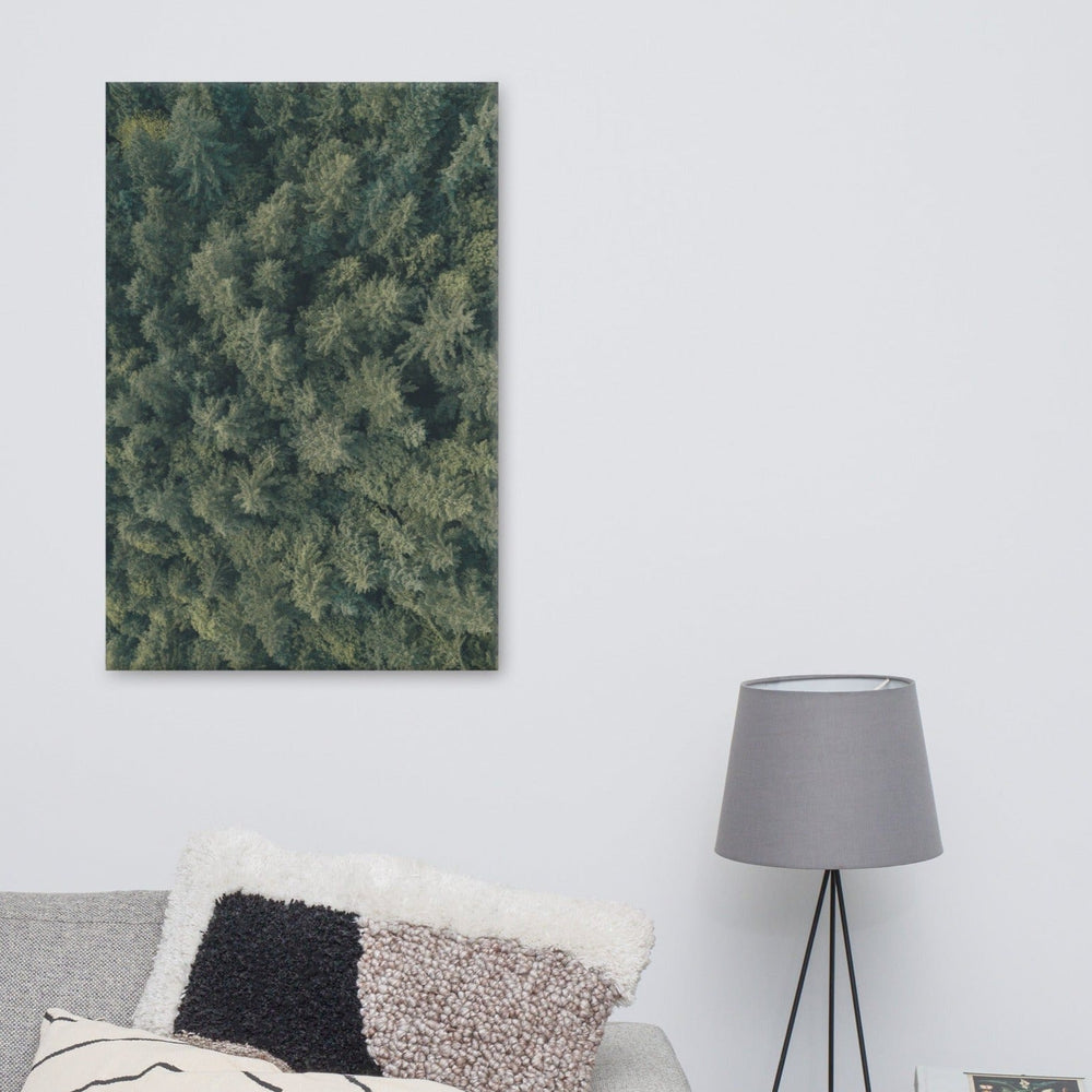 Kiefernwald Pine Forest - Leinwand Kuratoren von artlia artlia