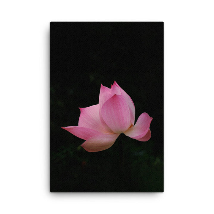 Leinwand - Lotus Seerose Kuratoren von artlia 61x91 cm artlia