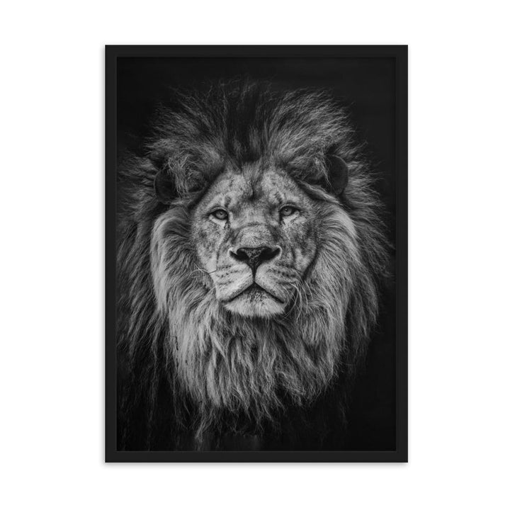 Loewe Lion - Poster im Rahmen artlia Schwarz / 50×70 cm artlia