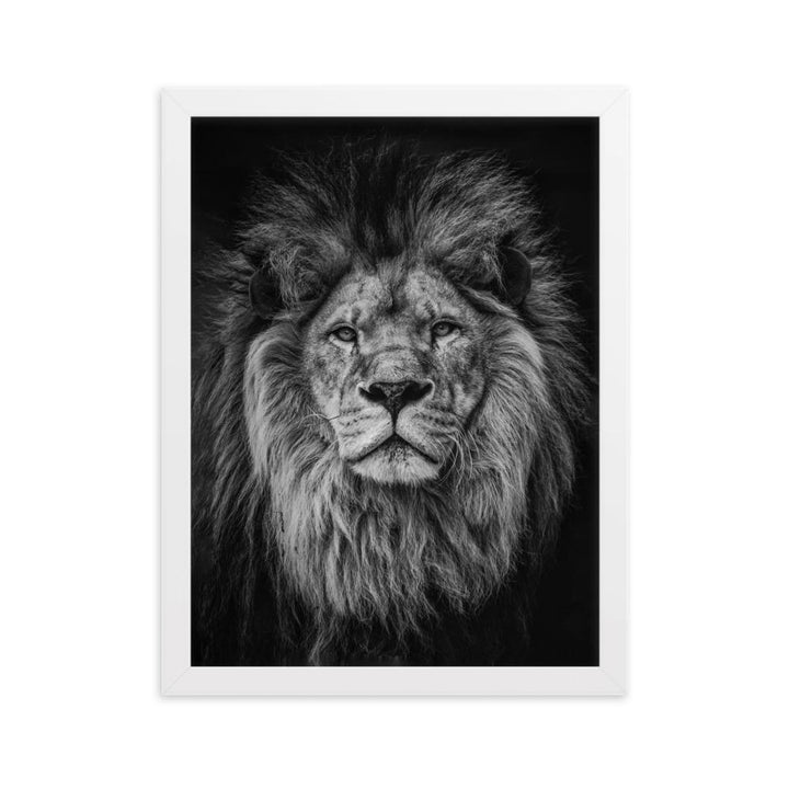 Loewe Lion - Poster im Rahmen artlia Weiß / 30×40 cm artlia