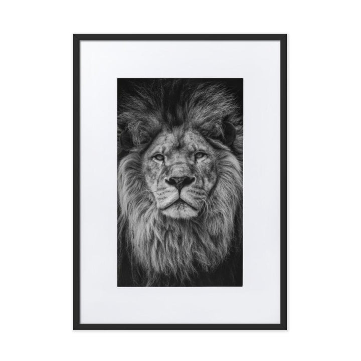 Loewe Lion - Poster im Rahmen mit Passepartout artlia Schwarz / 50×70 cm artlia