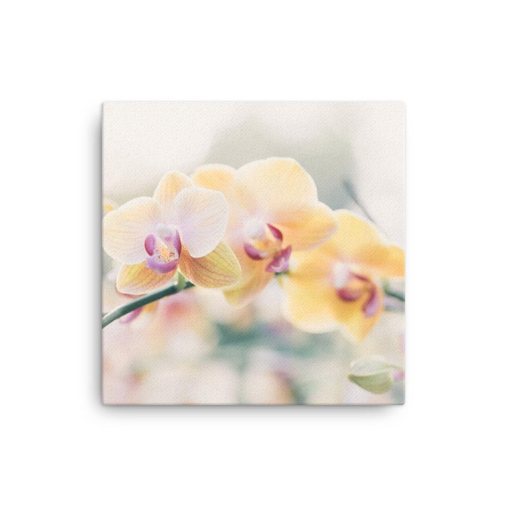 Orchid 01 - Leinwand Kuratoren von artlia 30x30 cm artlia