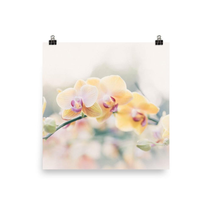 Orchid 01 - Poster artlia 10×10 artlia