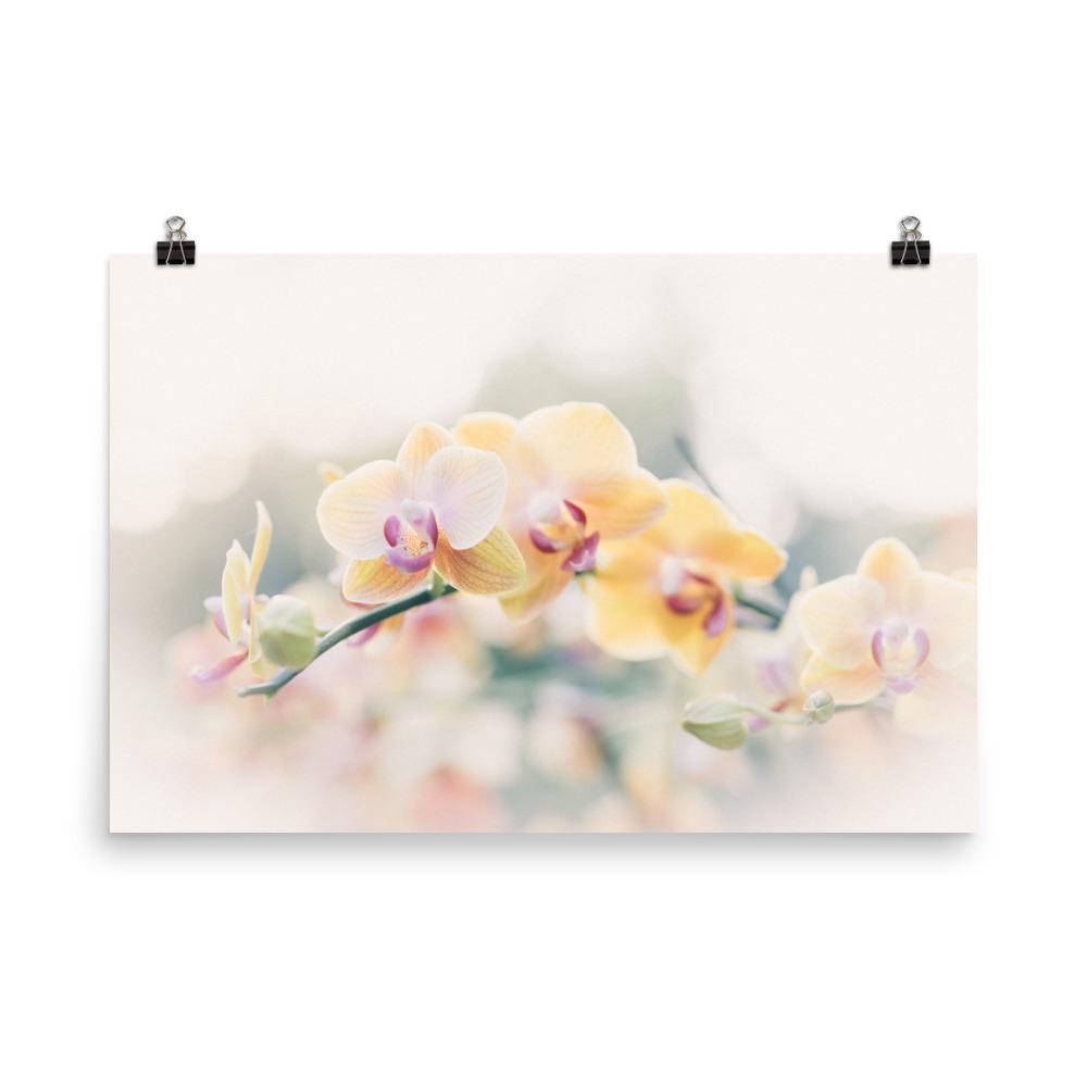 Orchid 01 - Poster artlia 24×36 artlia