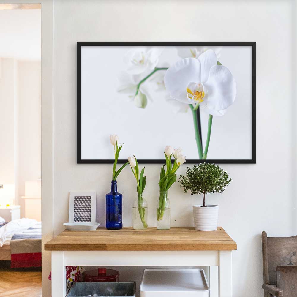 Orchid 03 - Poster im Rahmen Kuratoren von artlia artlia