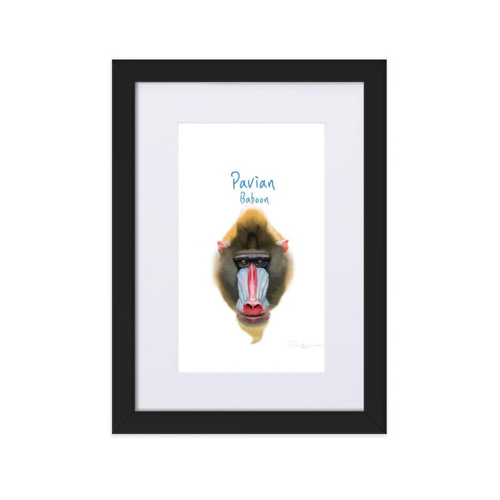 Pavian - Poster im Rahmen mit Passepartout dear.bon.vivant schwarz / 21×30 cm artlia