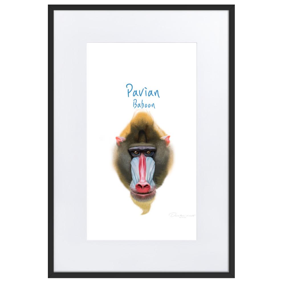 Pavian - Poster im Rahmen mit Passepartout dear.bon.vivant schwarz / 61×91 cm artlia