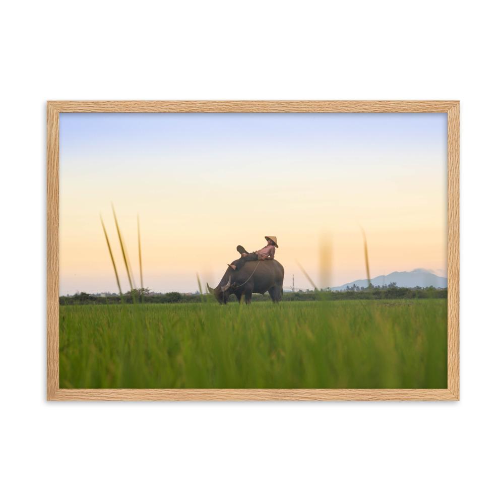 Peaceful Evening - Poster im Rahmen artlia Oak / 50×70 cm artlia