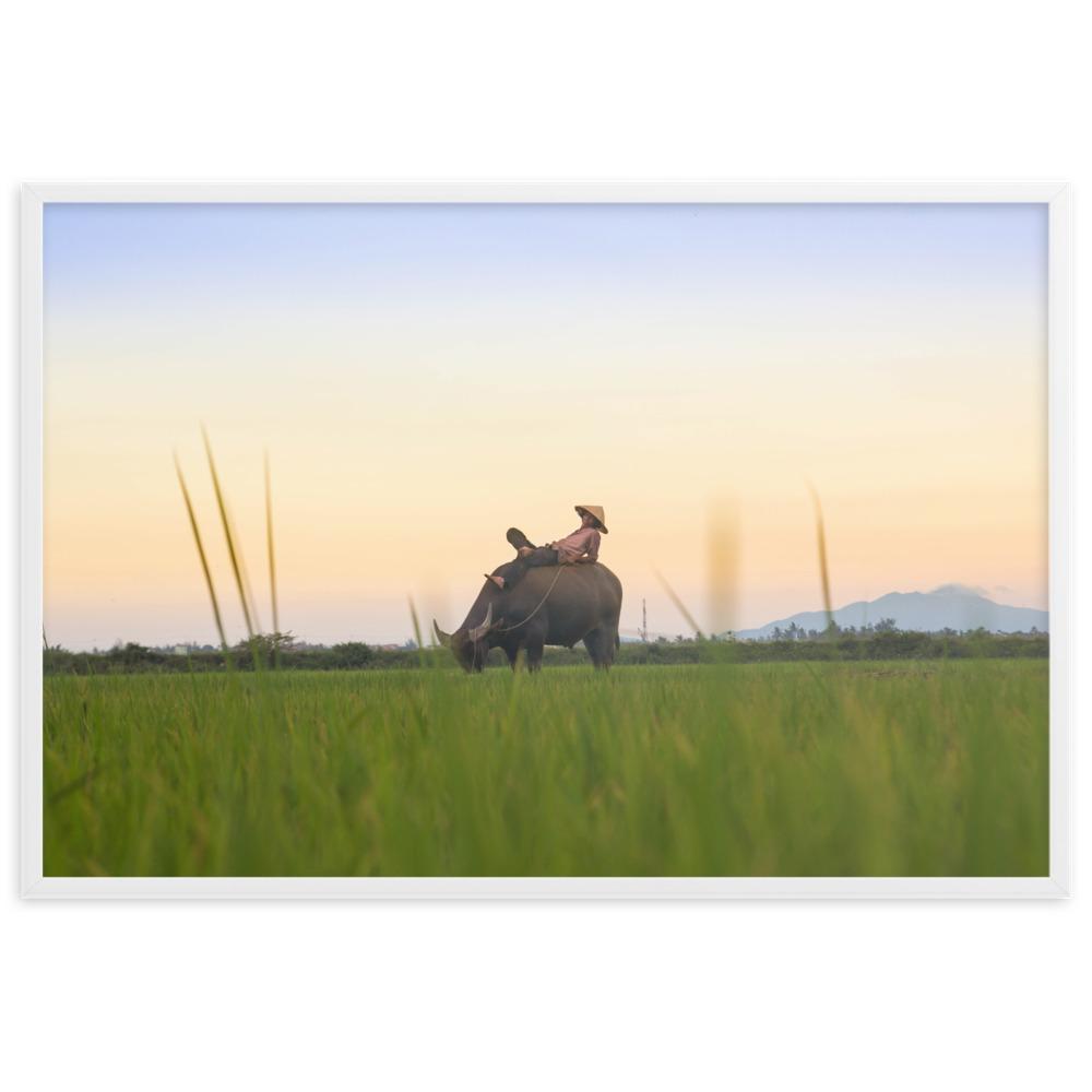 Peaceful Evening - Poster im Rahmen artlia Weiß / 61×91 cm artlia