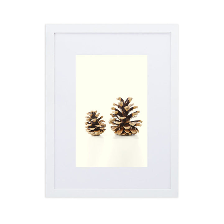 Pine Cone - Poster im Rahmen mit Passepartout Kuratoren von artlia Weiß / 30×40 cm artlia