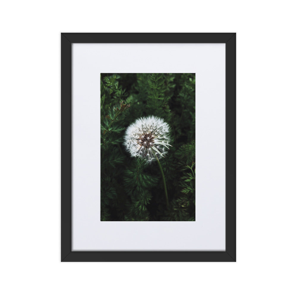 Poster mit Passepartout - Pusteblume Kuratoren von artlia Schwarz / 30×40 cm artlia