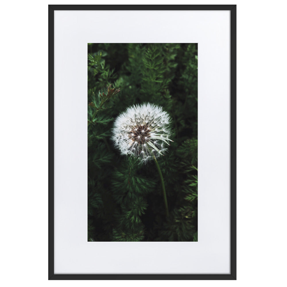 Poster mit Passepartout - Pusteblume Kuratoren von artlia Schwarz / 61×91 cm artlia