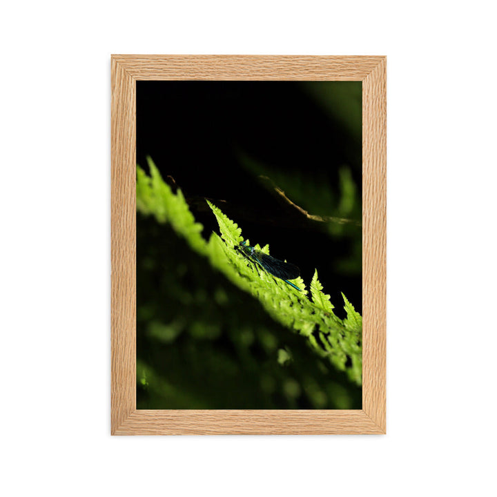 Poster mit Rahmen - Grüne Libelle Kuratoren von artlia Oak / 21×30 cm artlia