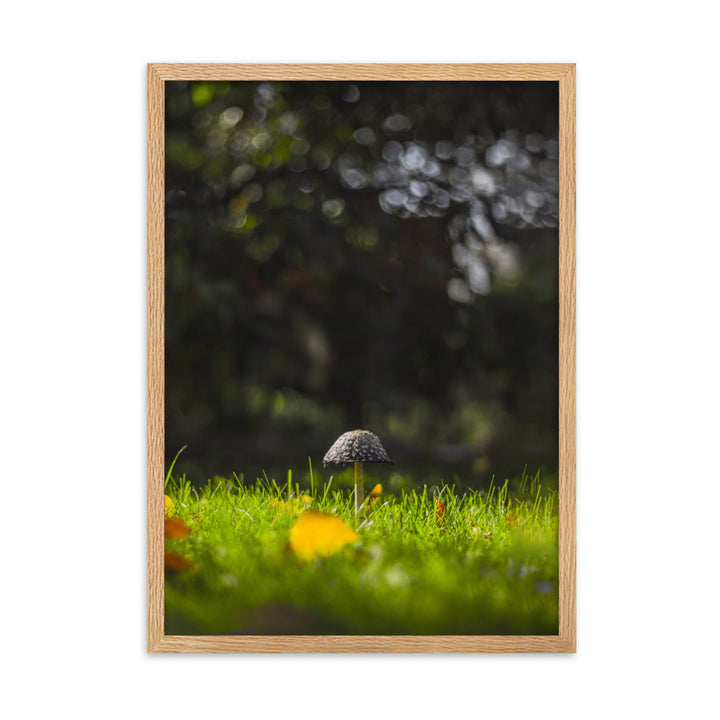 Poster mit Rahmen - Pilz Kuratoren von artlia Oak / 50×70 cm artlia