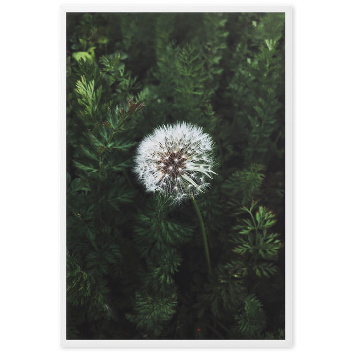 Poster - Pusteblume Kuratoren von artlia artlia