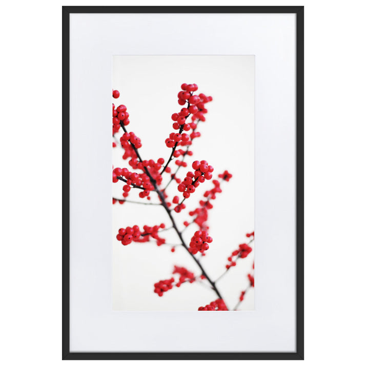 Red Berries - Poster im Rahmen mit Passepartout Kuratoren von artlia Schwarz / 61×91 cm artlia