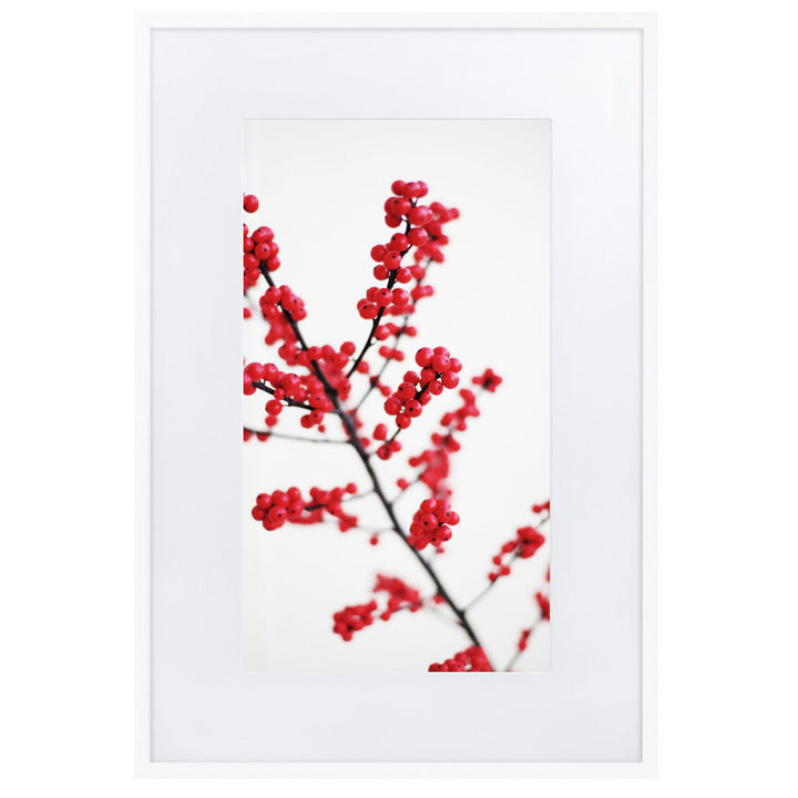 Red Berries - Poster im Rahmen mit Passepartout Kuratoren von artlia Weiß / 61×91 cm artlia