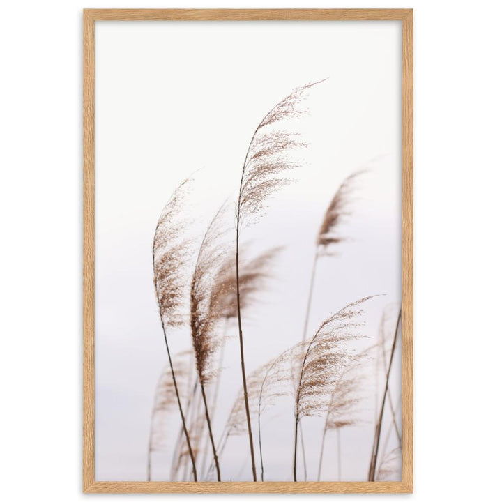 Reeds 01 - Poster im Rahmen artlia Oak / 61×91 cm artlia