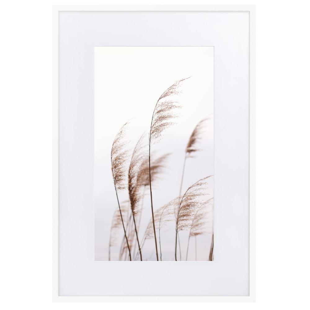 Reeds 01 - Poster im Rahmen mit Passepartout artlia Weiß / 61×91 cm artlia