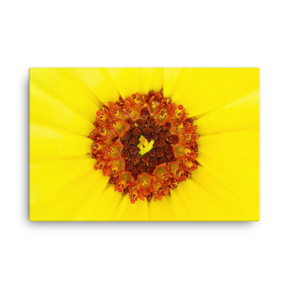 Ringelblume - Leinwand artlia 24×36 artlia