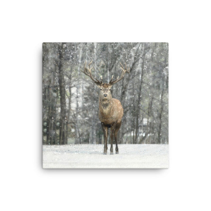 Rotwild im Schnee - Leinwand artlia 16″×16″ artlia