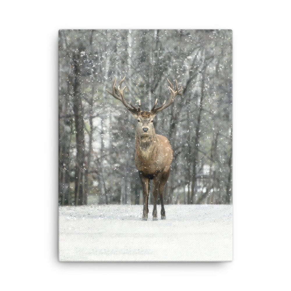 Rotwild im Schnee - Leinwand artlia 18″×24″ artlia