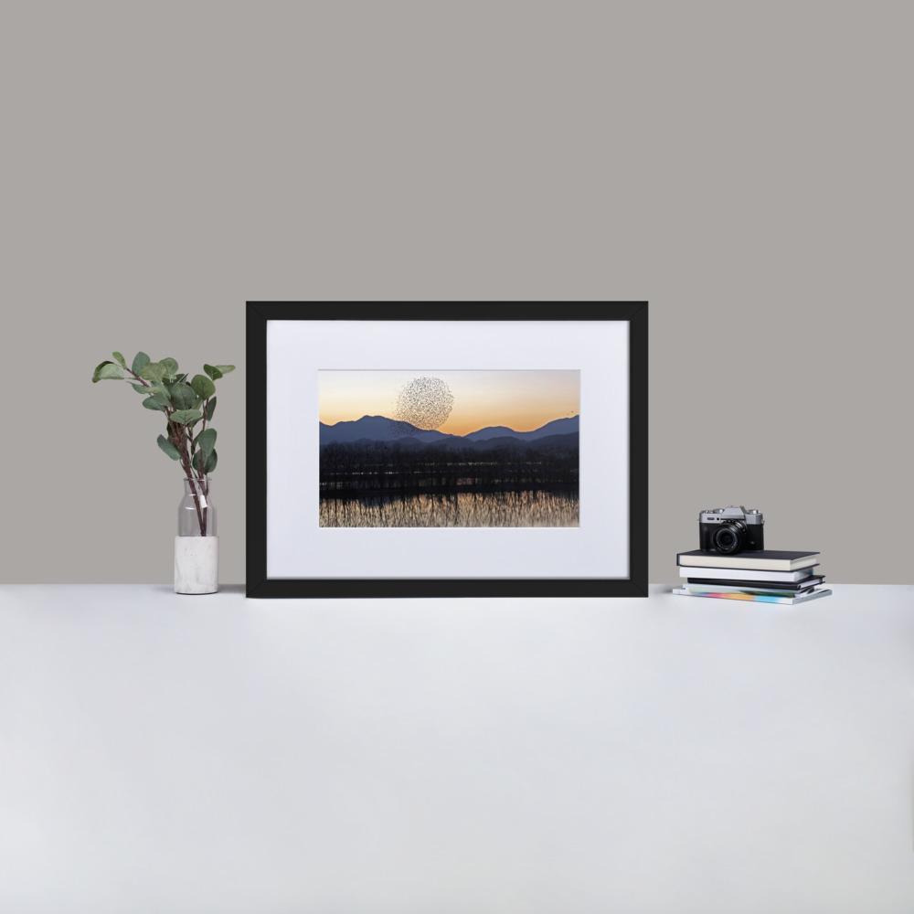 Sonnenuntergang im Junam-Wasserreservoir - Poster im Rahmen mit Passepartout Young Han Song schwarz / 50×70 cm artlia