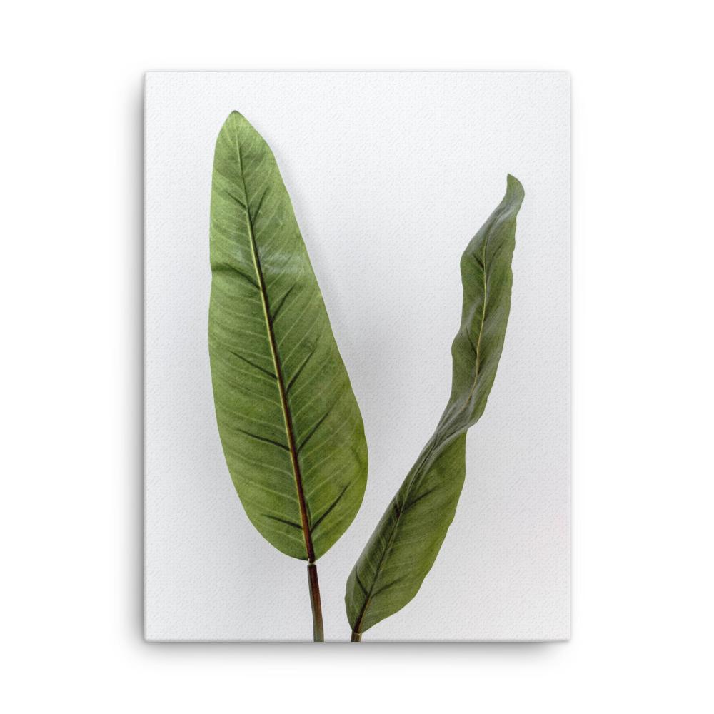 Tropical Leaves - Leinwand Kuratoren von artlia 30x41 cm artlia